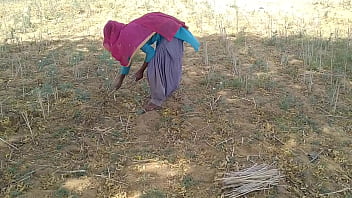 धाकड़ देसी लड़के ने खेत में ही उसकी चुदाई कर दी