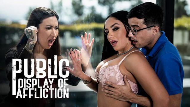 Exposed Agony: Sheena Ryder And Ricky Spanish Flaunt Their Forbidden Lust In Public