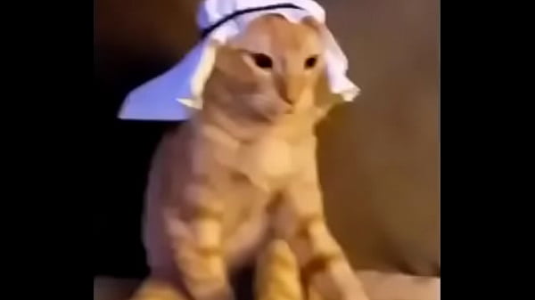 Desert Siren’s Purr