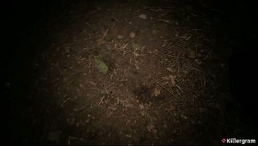 Killergram – Classy Slut Takes It Raw On A Dogging Run, Hungry For Every Stranger’s Hard Cock In A Savage Outdoor Fuckfest