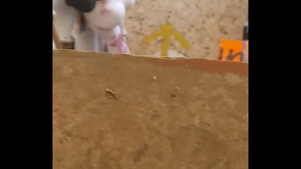 Enterrá Bien Abierto A Esta Puta Con El Culotte Cuando Se Dobla Para Mostrarlo Todo