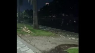 Turra Me Hace Un Pete Al Aire Libre, Una Mamada Salvaje Bajo El Sol